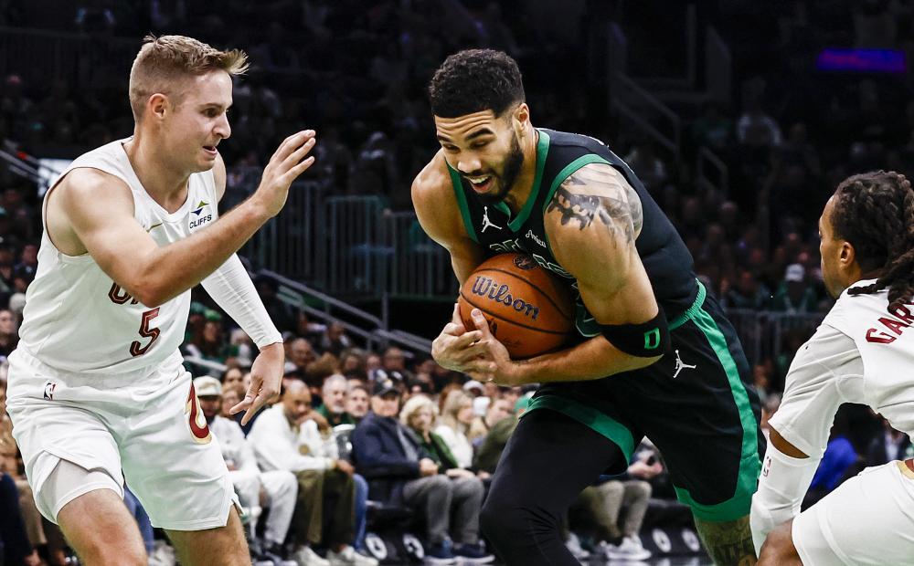 化的载体 化的载体