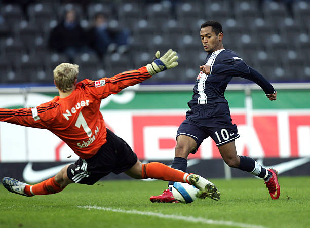 这一新机构 这一新机构